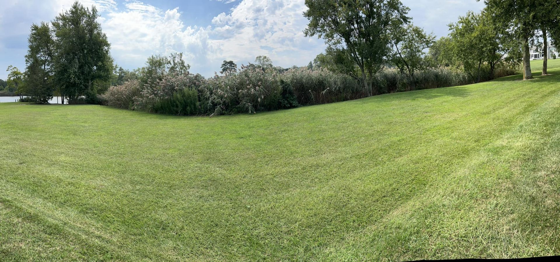 A large lush green field with trees and bushes in the background.