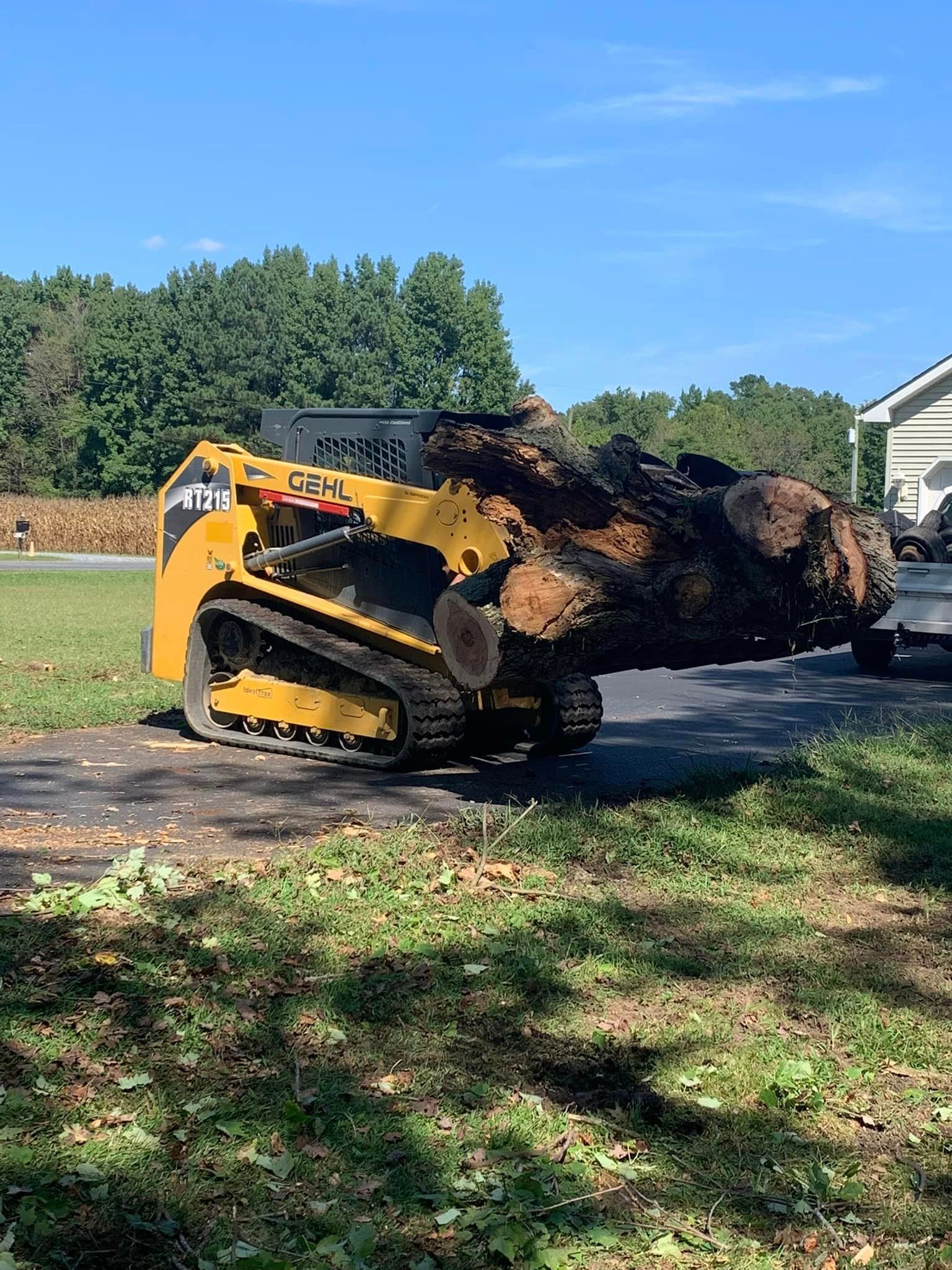 A bulldozer is carrying a large log down a road.