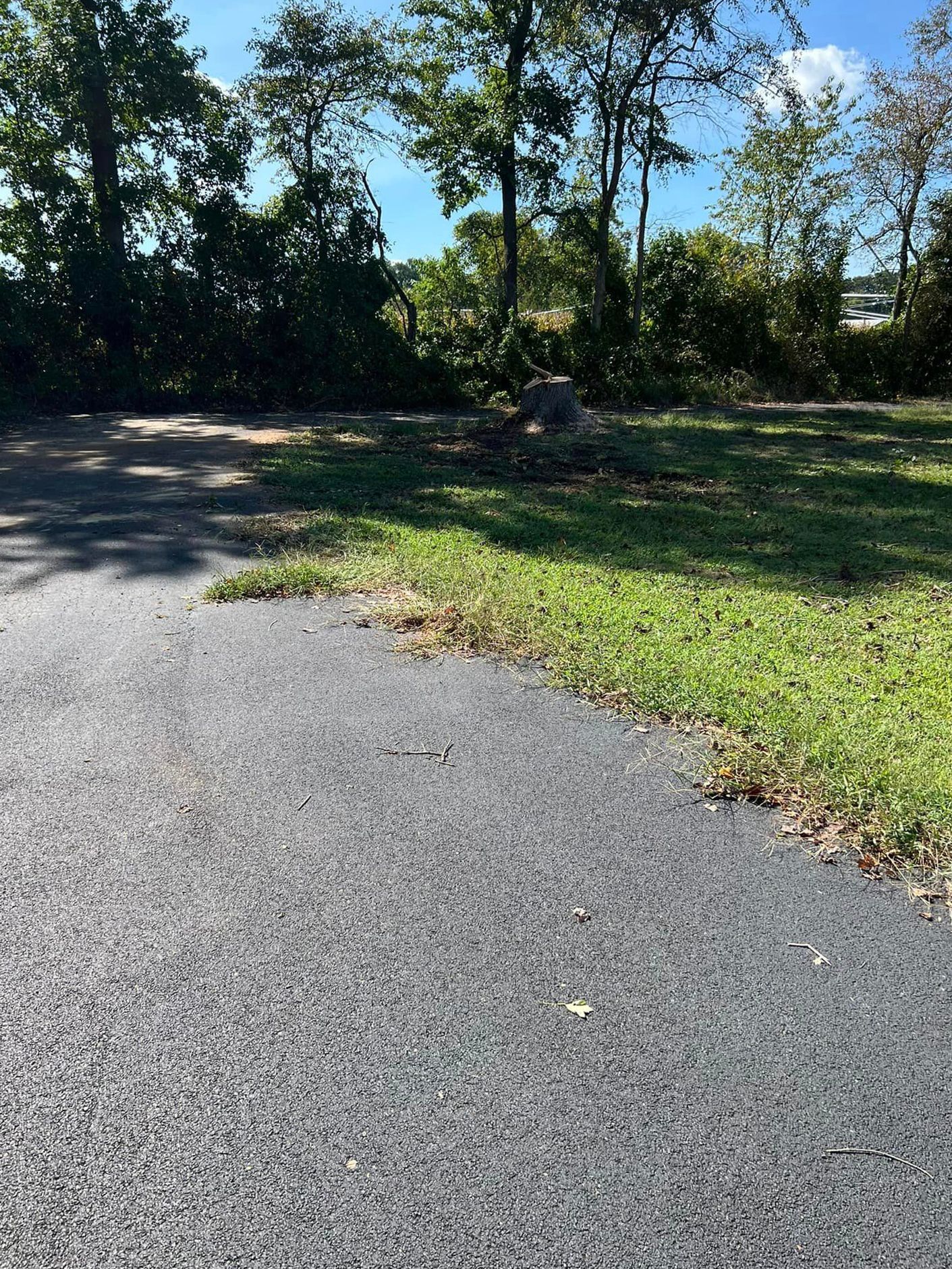 A asphalt road going through a grassy area with trees in the background.