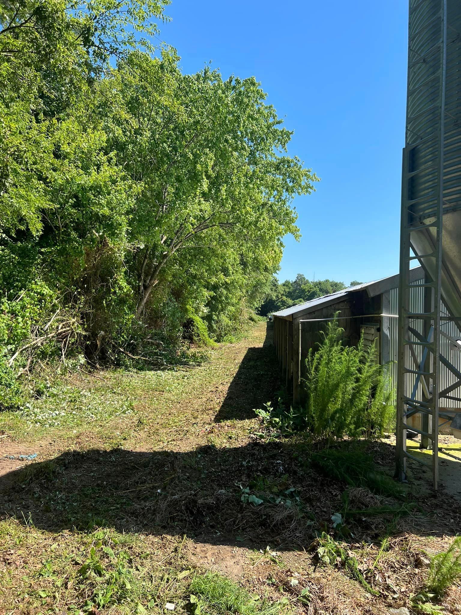 There is a silo in the middle of a field surrounded by trees.