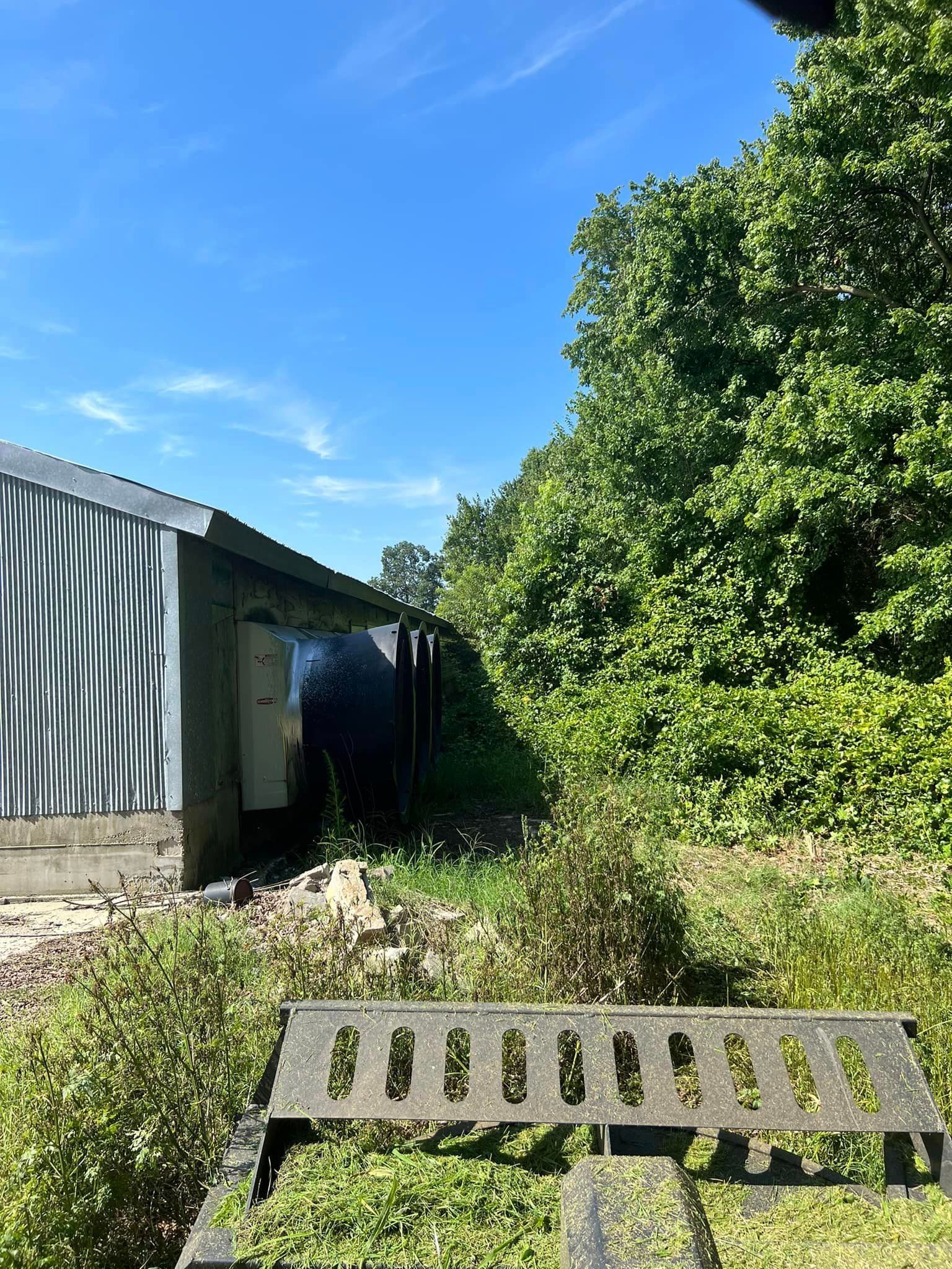 A wooden bench is sitting in front of a shed surrounded by trees.