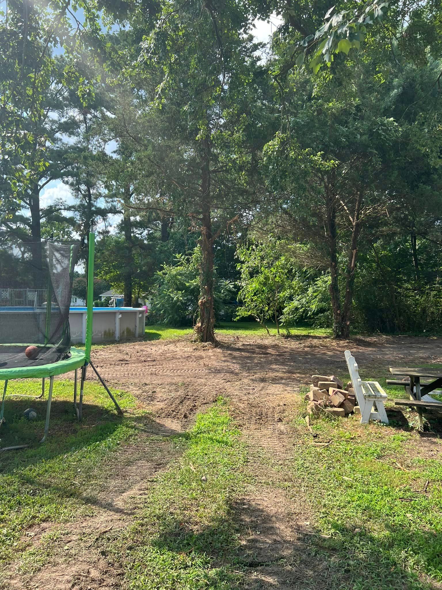 A trampoline is sitting in the middle of a yard surrounded by trees.