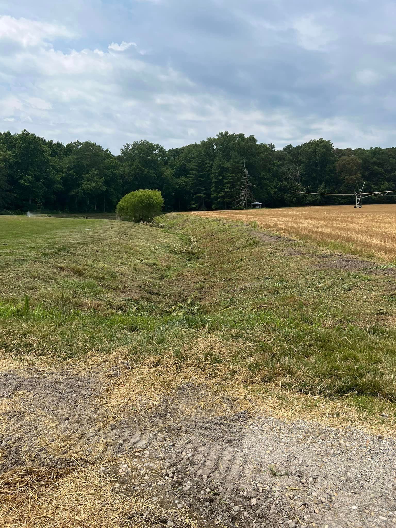 A dirt road going through a grassy field with trees in the background.