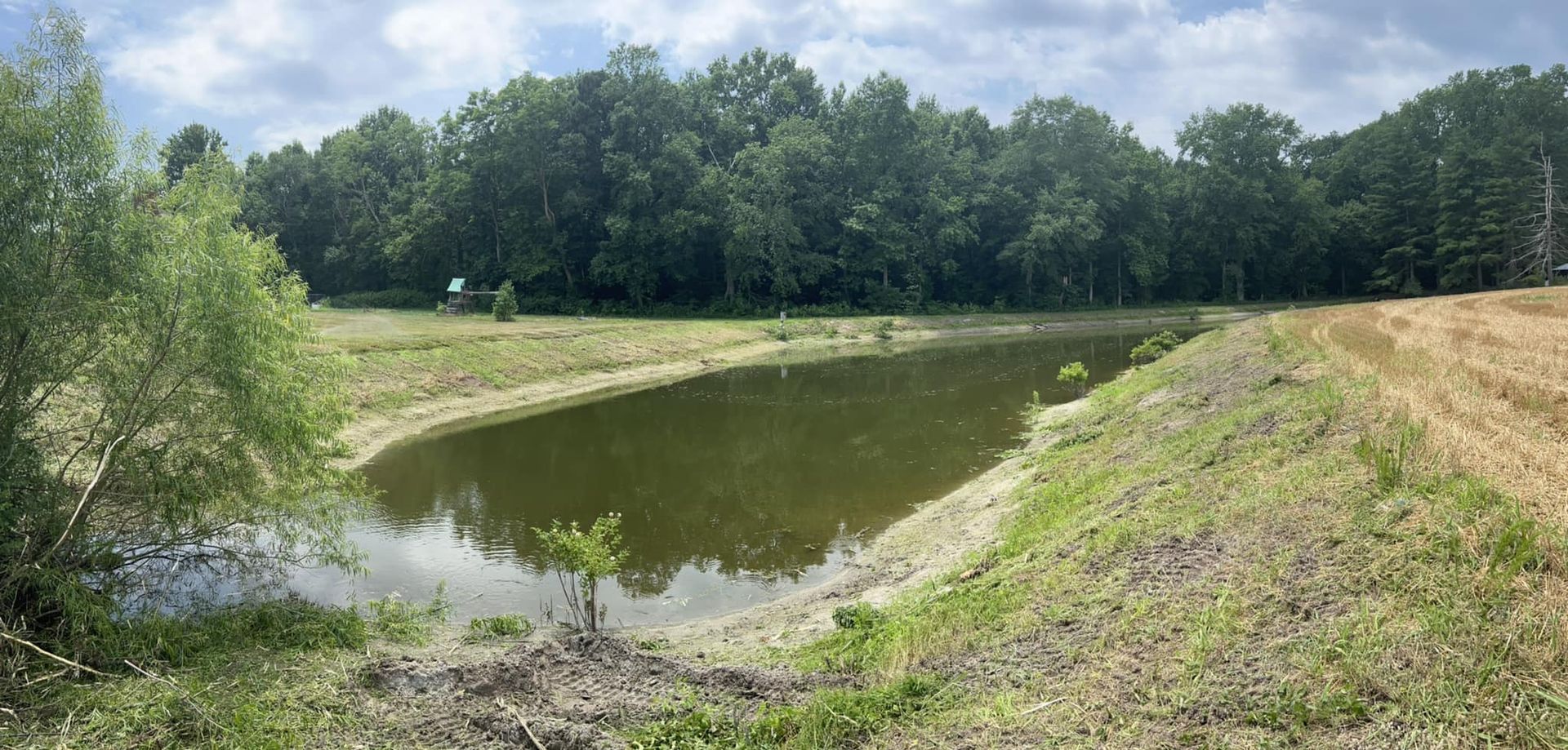 A large pond in the middle of a field with trees in the background.