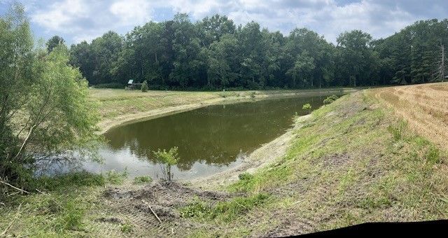 There is a large pond in the middle of a field surrounded by trees