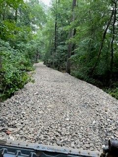 A gravel road in the middle of a forest surrounded by trees