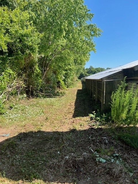 A dirt road leading to a shed surrounded by trees on a sunny day