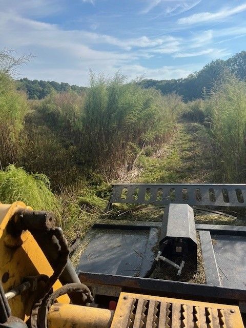 A yellow tractor is driving through a lush green field