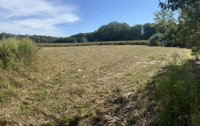 A large grassy field with trees in the background on a sunny day