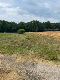 A dirt road going through a grassy field with trees in the background