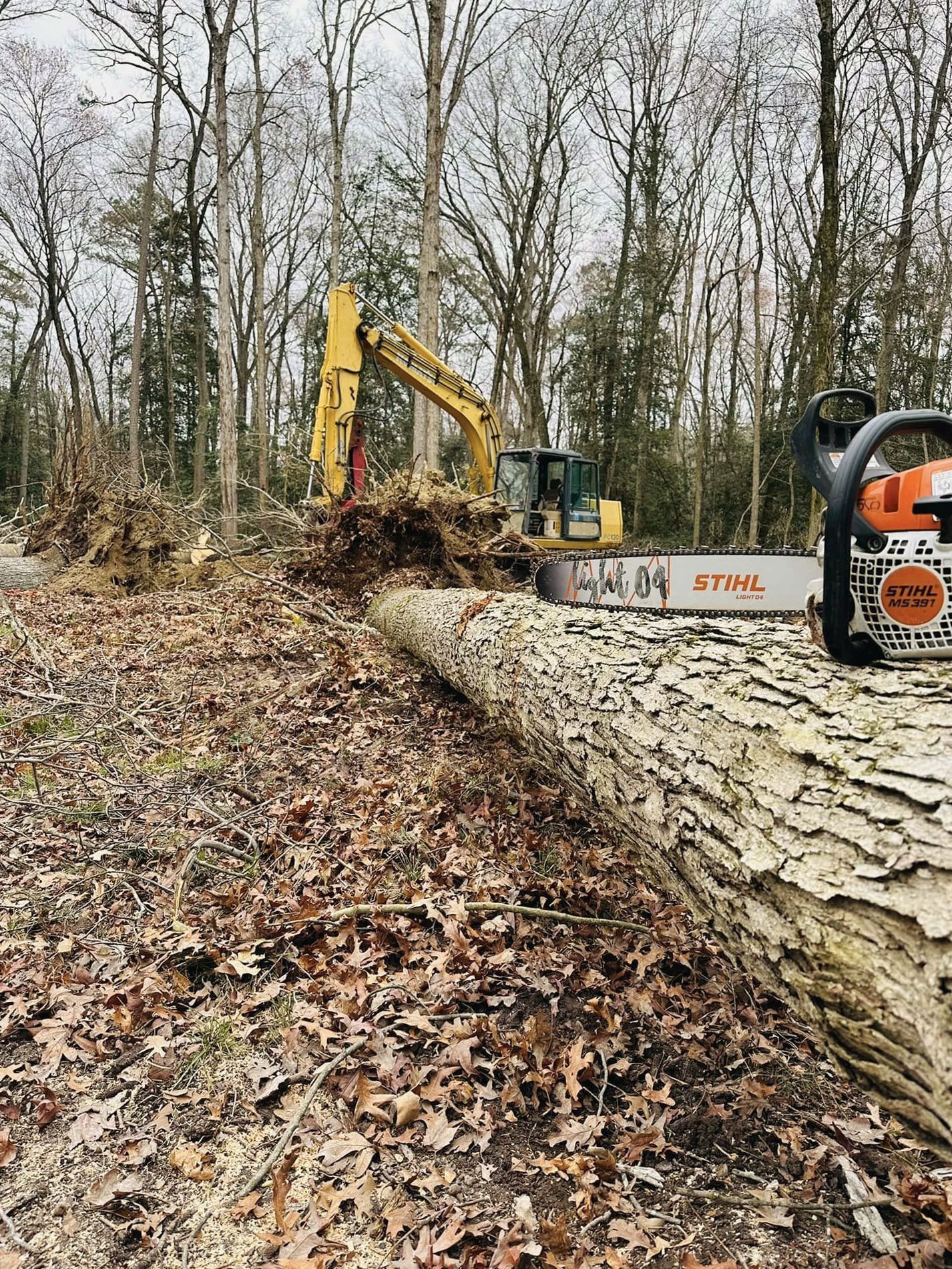 A chainsaw is sitting next to a large log in the woods.