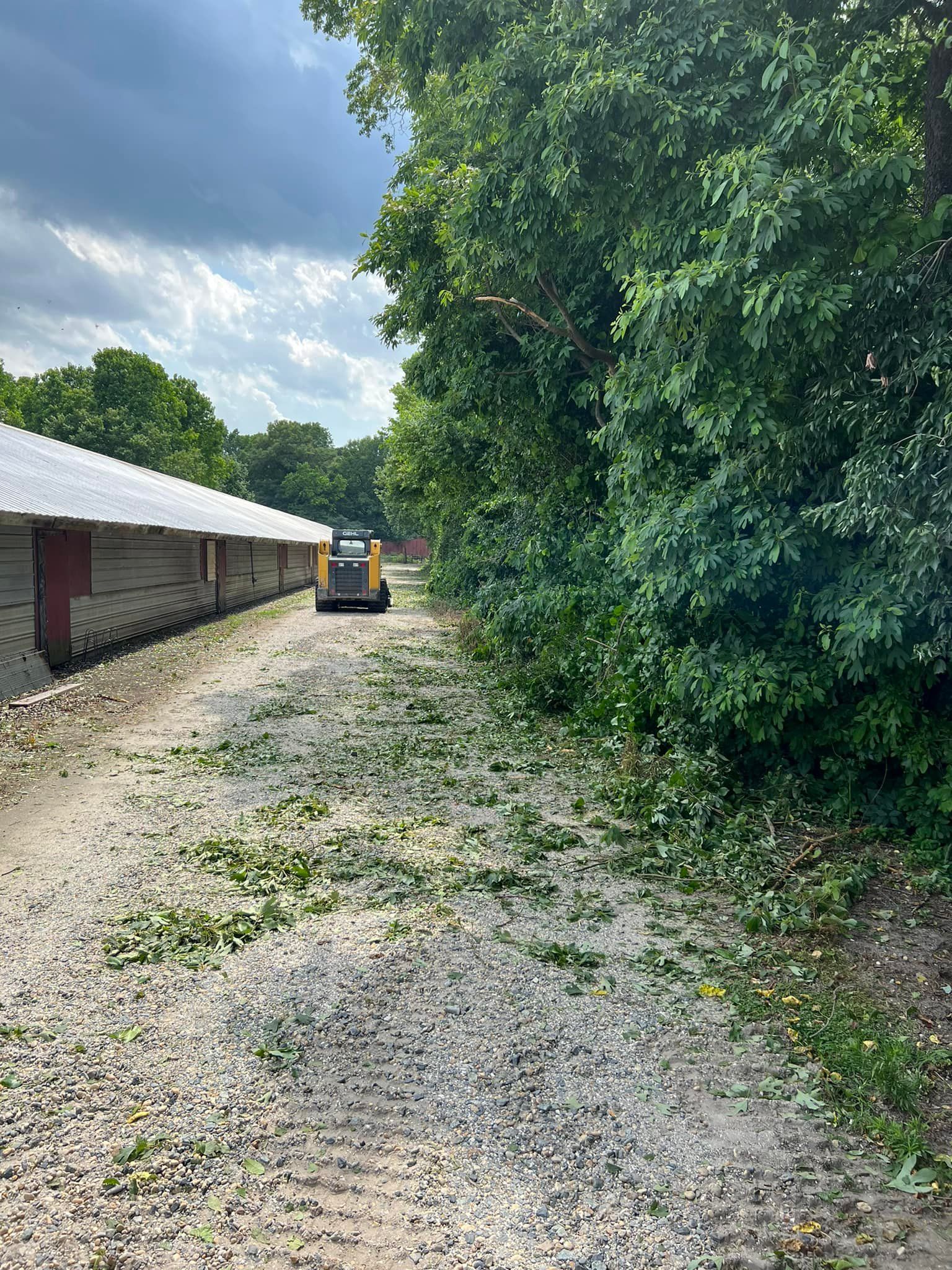 A bulldozer is cutting trees on the side of a dirt road.