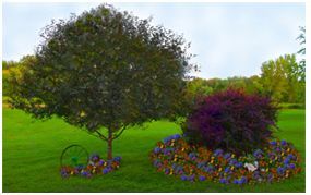 A tree and a bush surrounded with beautiful flowers
