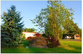 a landscape of two different trees with a giant rock in the middle