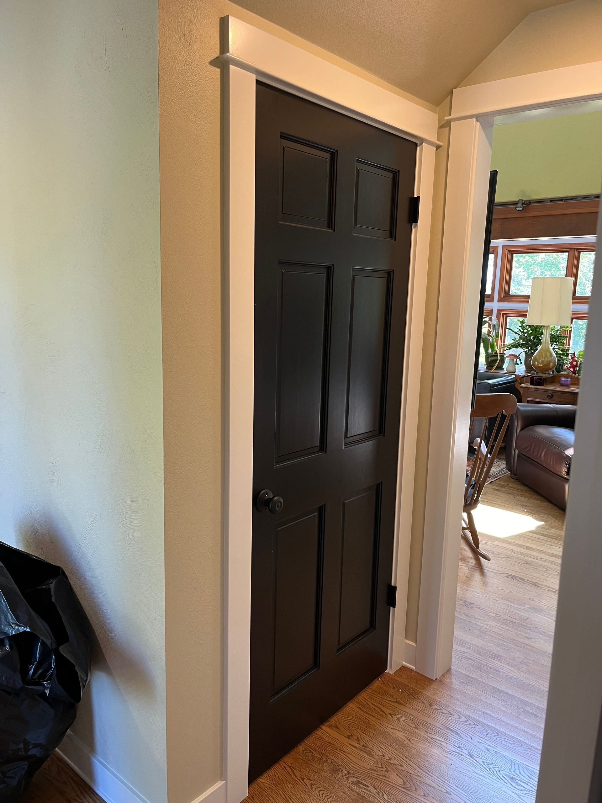A black door is in a hallway leading to a living room.