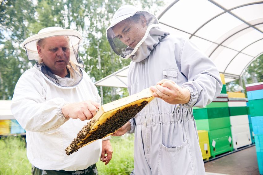 Two men in bee suits are looking at a beehive.