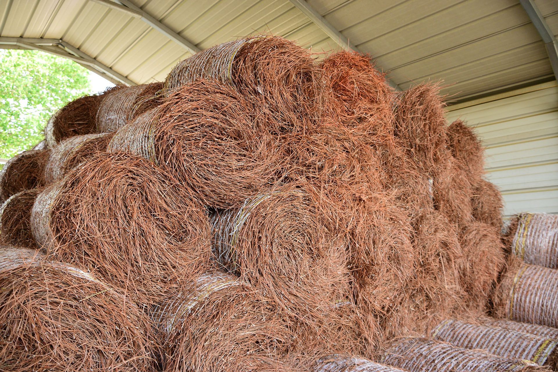 Pine straw in stock