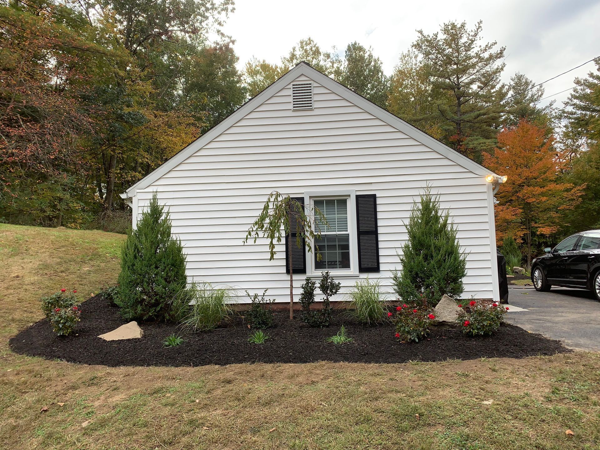 replacement planting