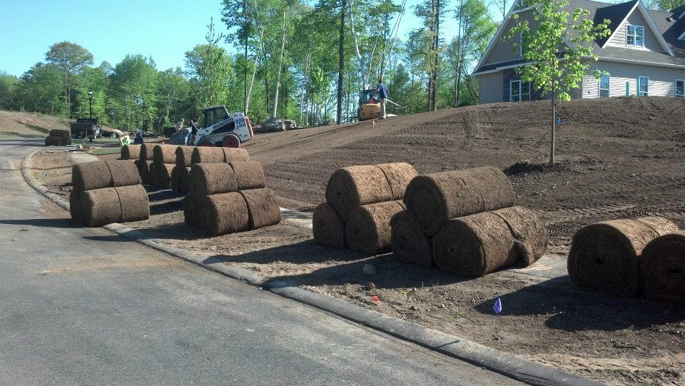 Sod for lawn maintenance