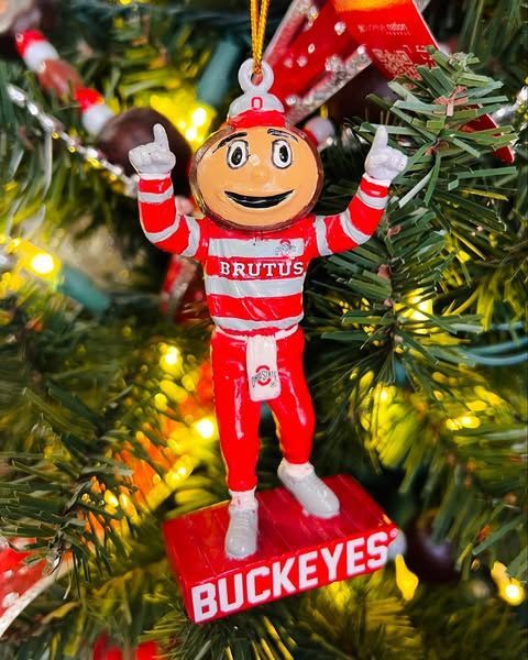 A buckeyes christmas ornament is hanging on a christmas tree