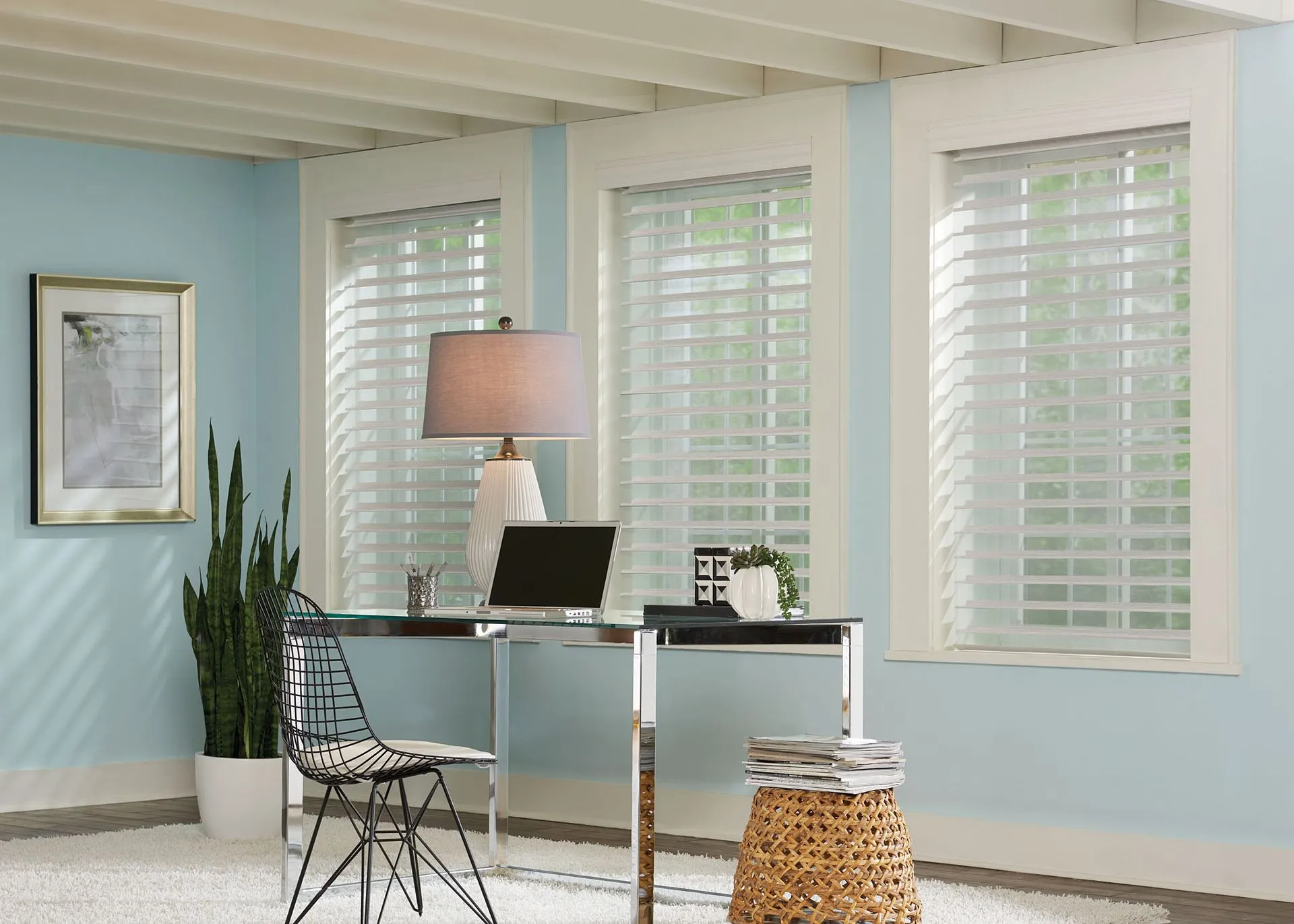 Office with blue walls, three windows with blinds, desk, chair, lamp, and plants.
