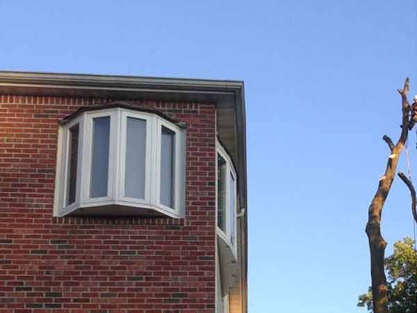 Leo's Tree and Lawn Service