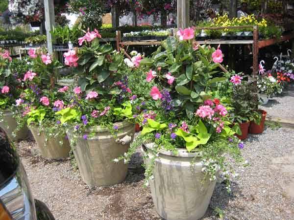 Leo's Tree and Lawn Service