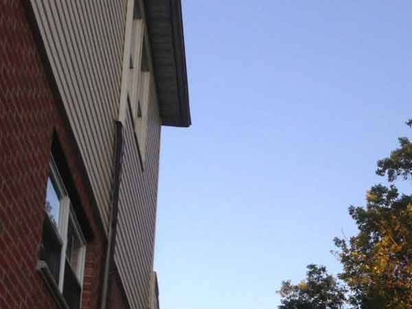 Leo's Tree and Lawn Service