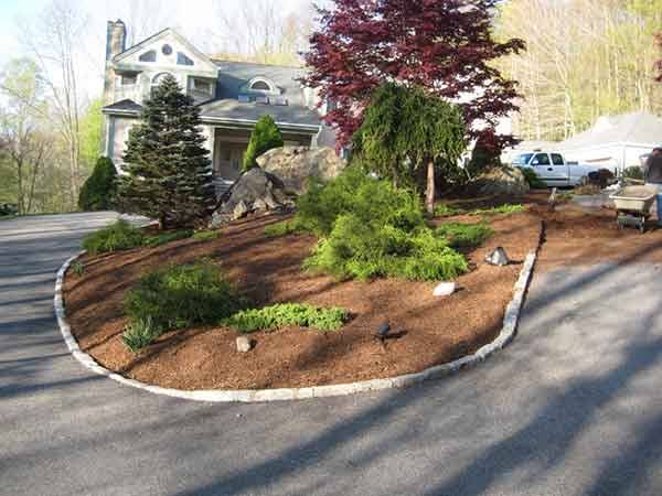 Leo's Tree and Lawn Service