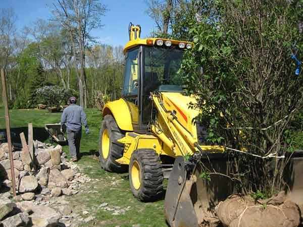 Leo's Tree and Lawn Service