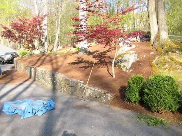 Leo's Tree and Lawn Service