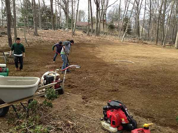 Leo's Tree and Lawn Service