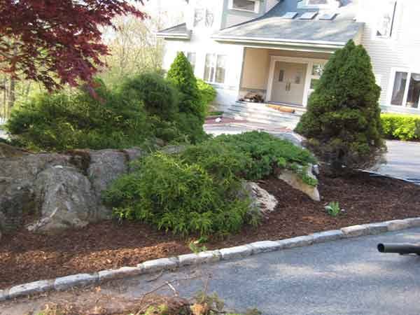 Leo's Tree and Lawn Service