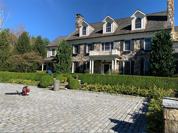 Leo's Tree and Lawn Service