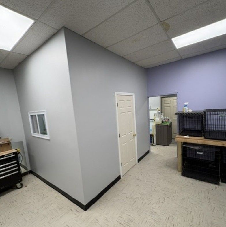 Small office hallway with gray walls, white door, and workstations under fluorescent ceiling lights