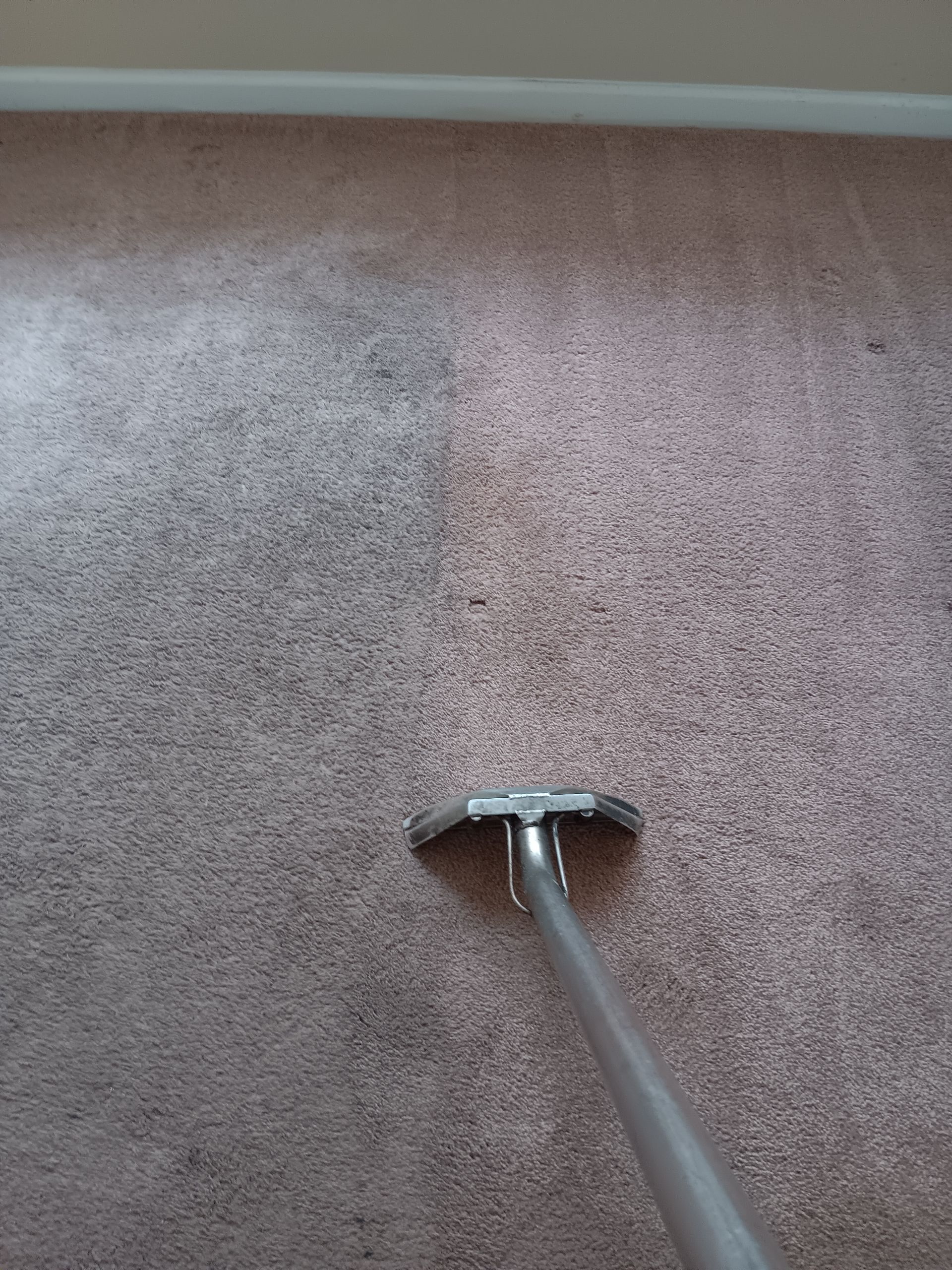 Carpet being cleaned by a machine; showing a clear difference between cleaned and uncleaned areas.