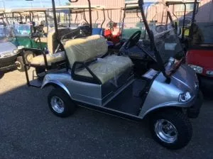 Silver Evolution cart
