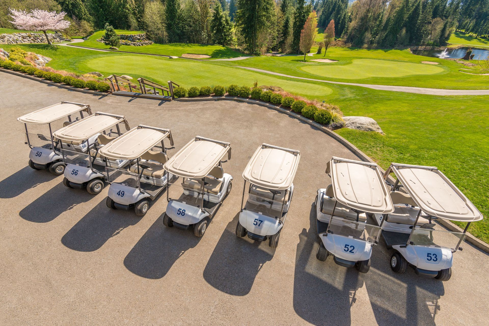 Six white golf carts parked in a row beside a green golf course and trees