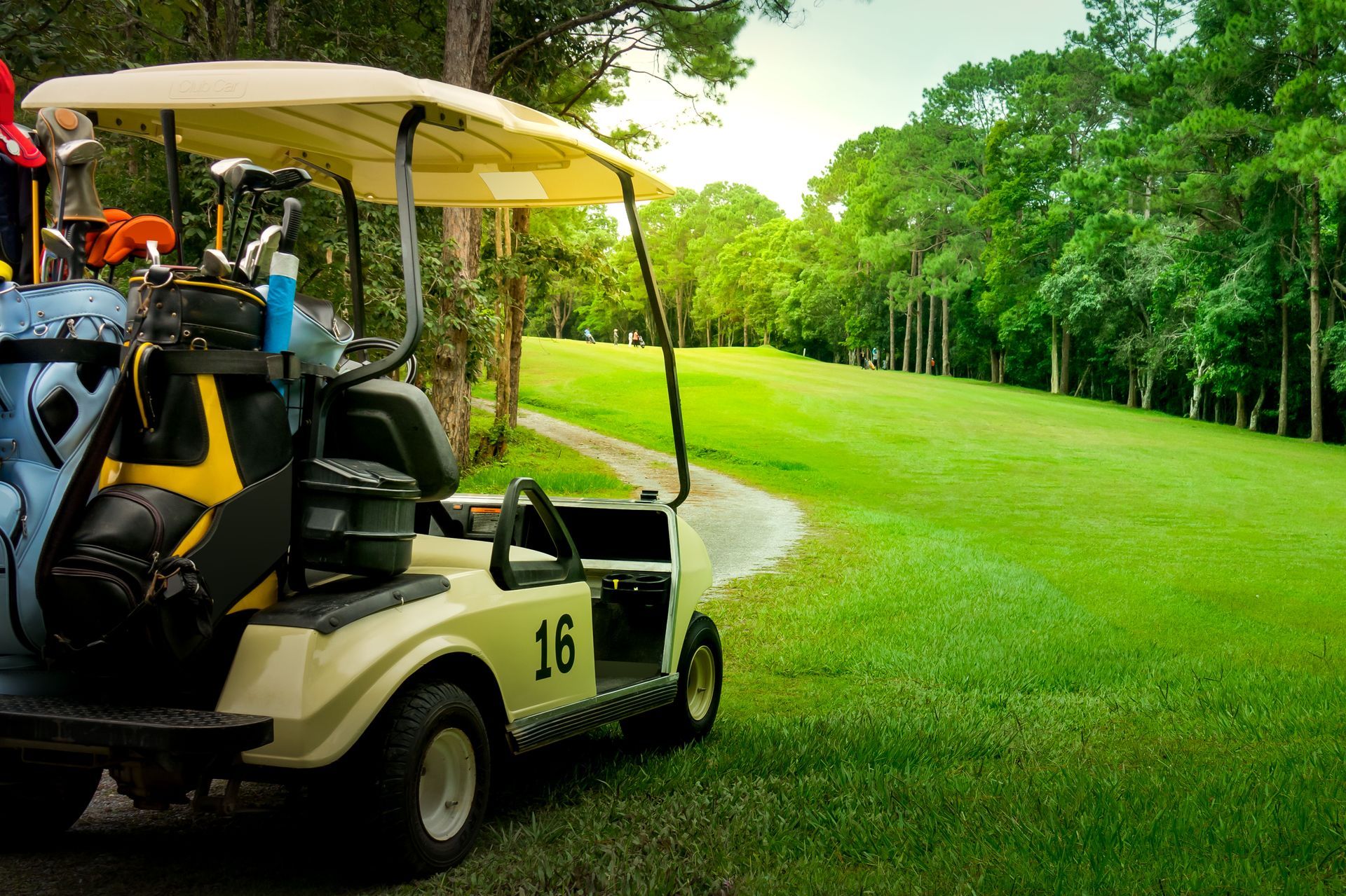 Golf cart parked on a lush green course beside a wooded path, with clubs and a canopy.