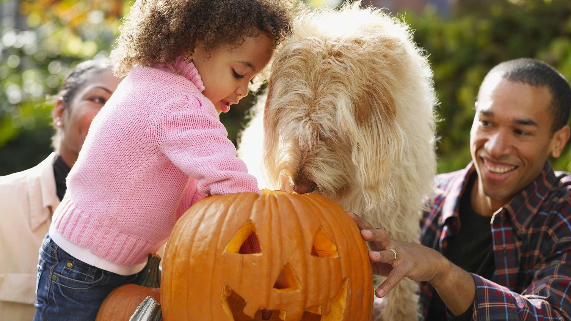 Pumpkin carving 