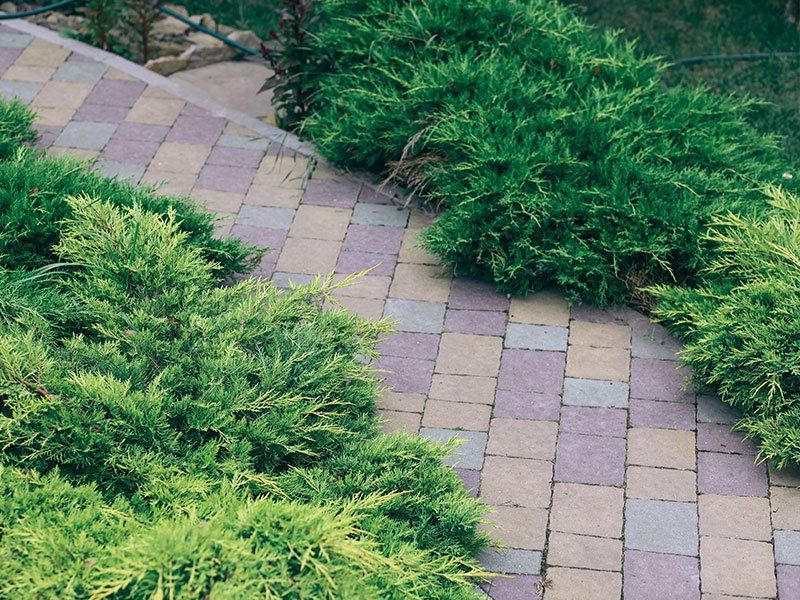 patios and walkway services.