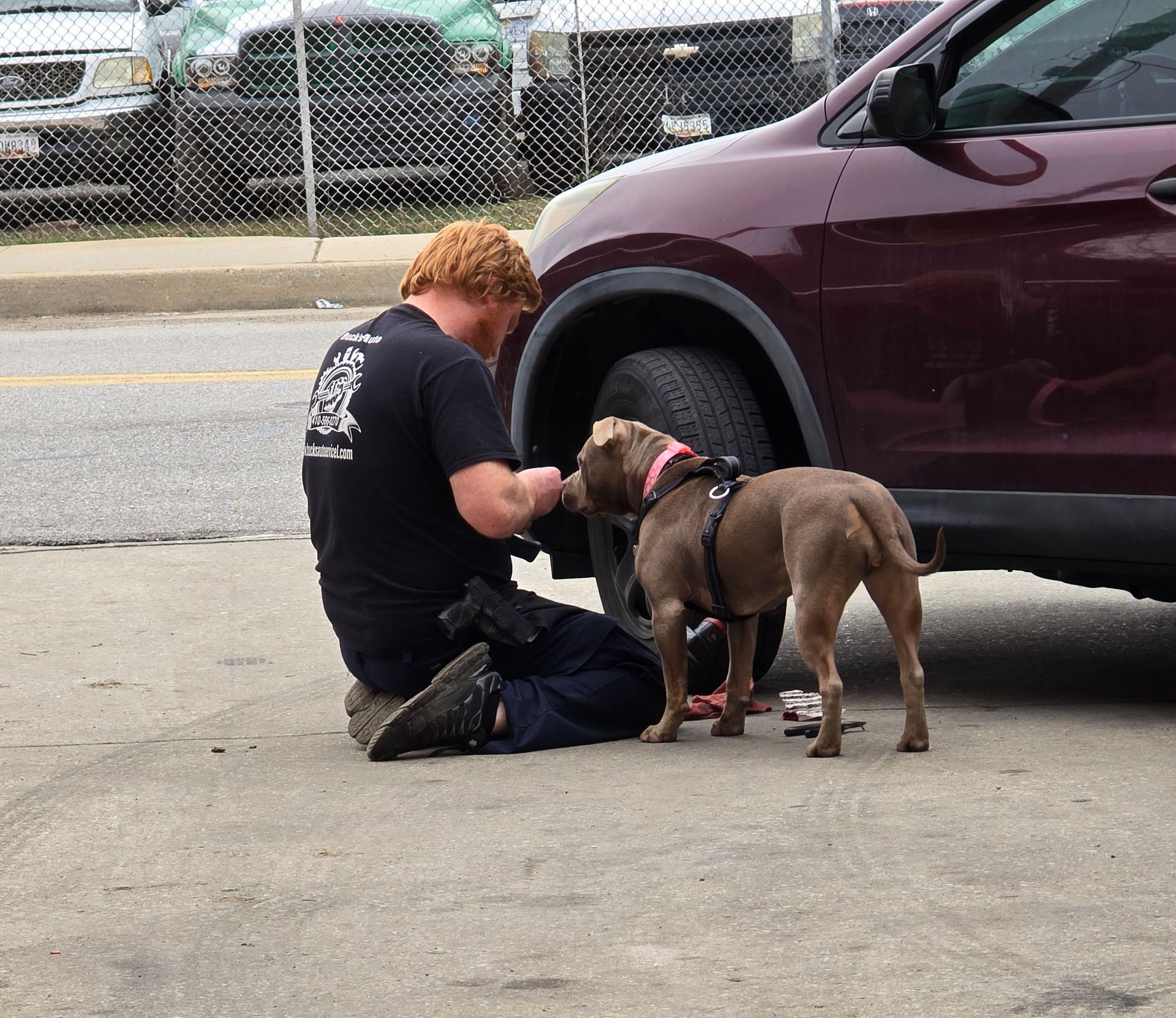 A man and a dog are working on a car