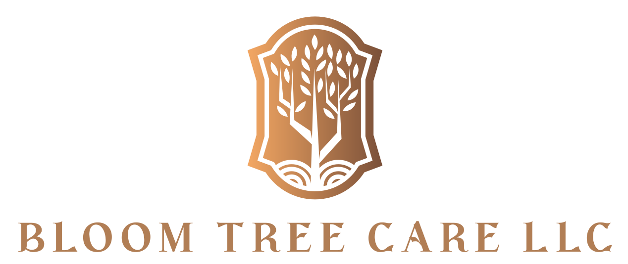 Bloom Tree Care LLC logo