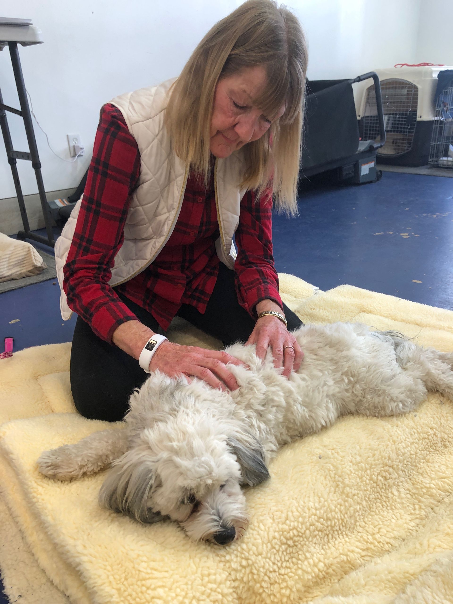 Woman in red plaid shirt petting a white dog lying on a cream blanket indoors