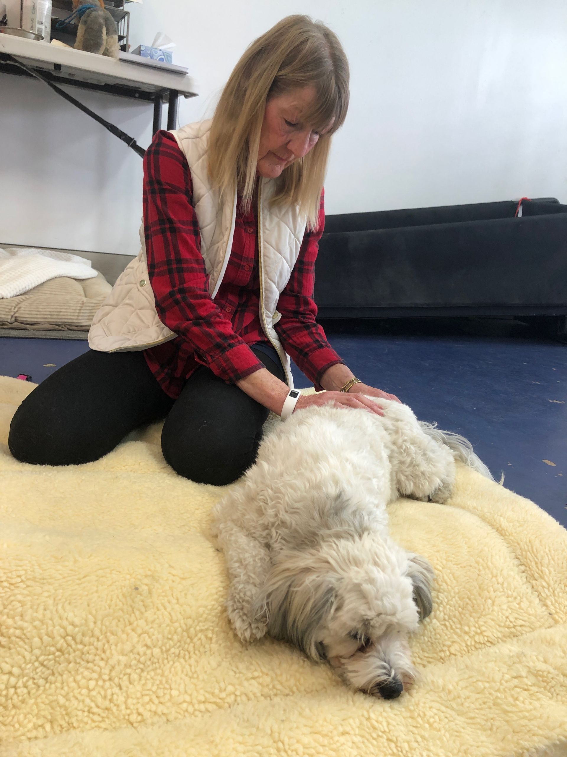 Woman kneels on a mat, gently petting a fluffy white dog lying on a cushion indoors.
