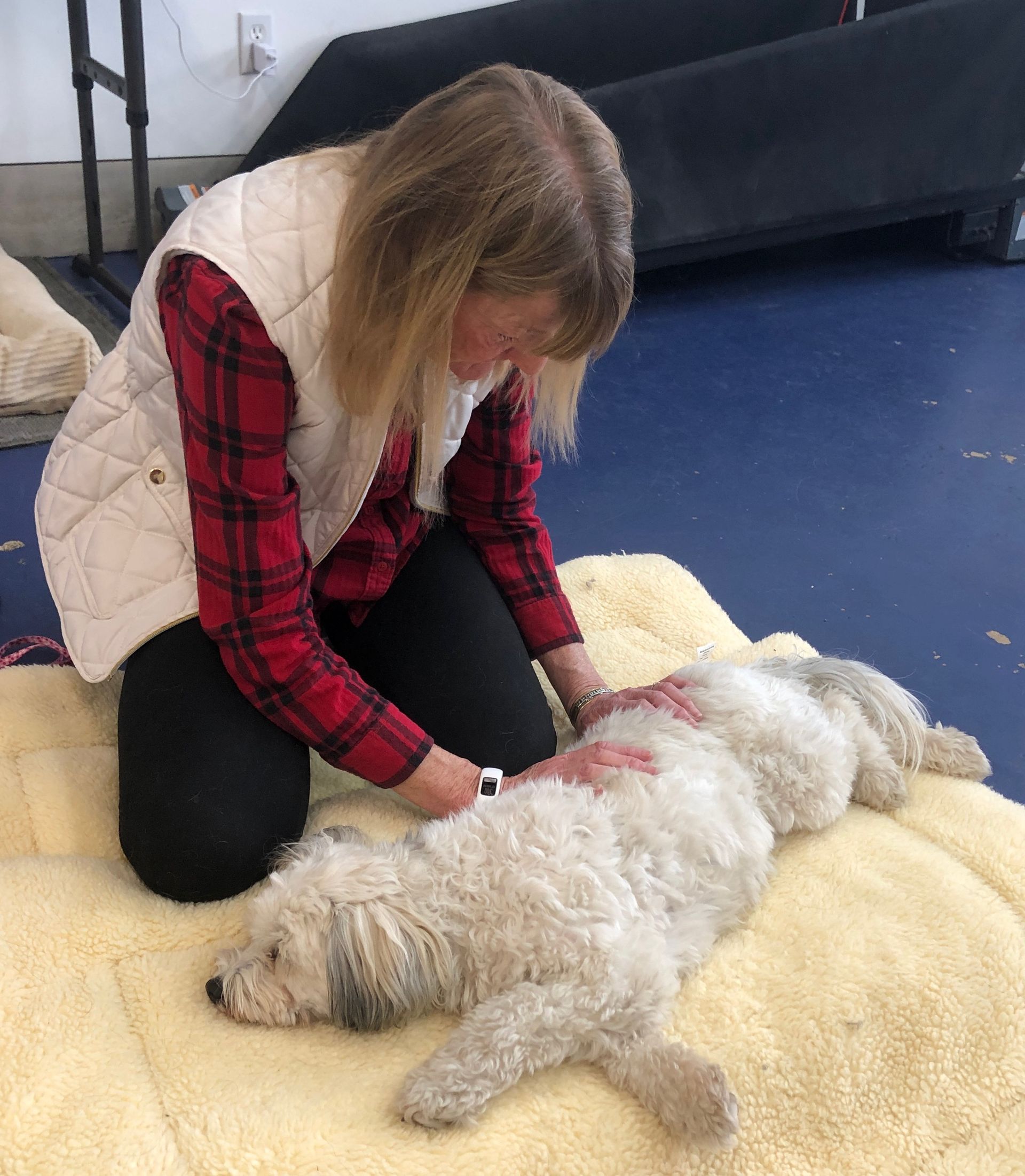 Woman in red plaid shirt gently petting a small white dog 