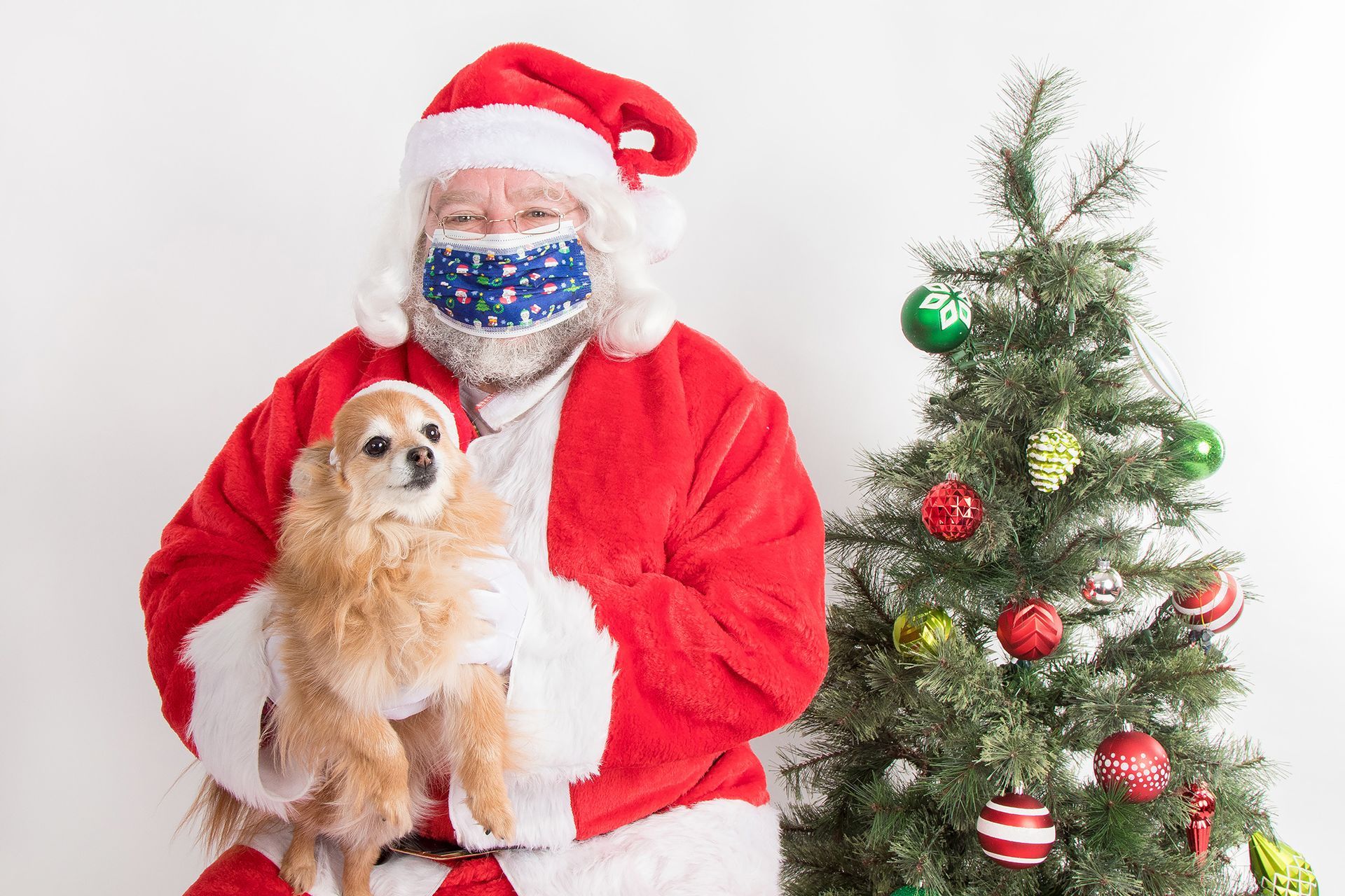 Santa claus wearing a face mask is holding a dog in front of a christmas tree.