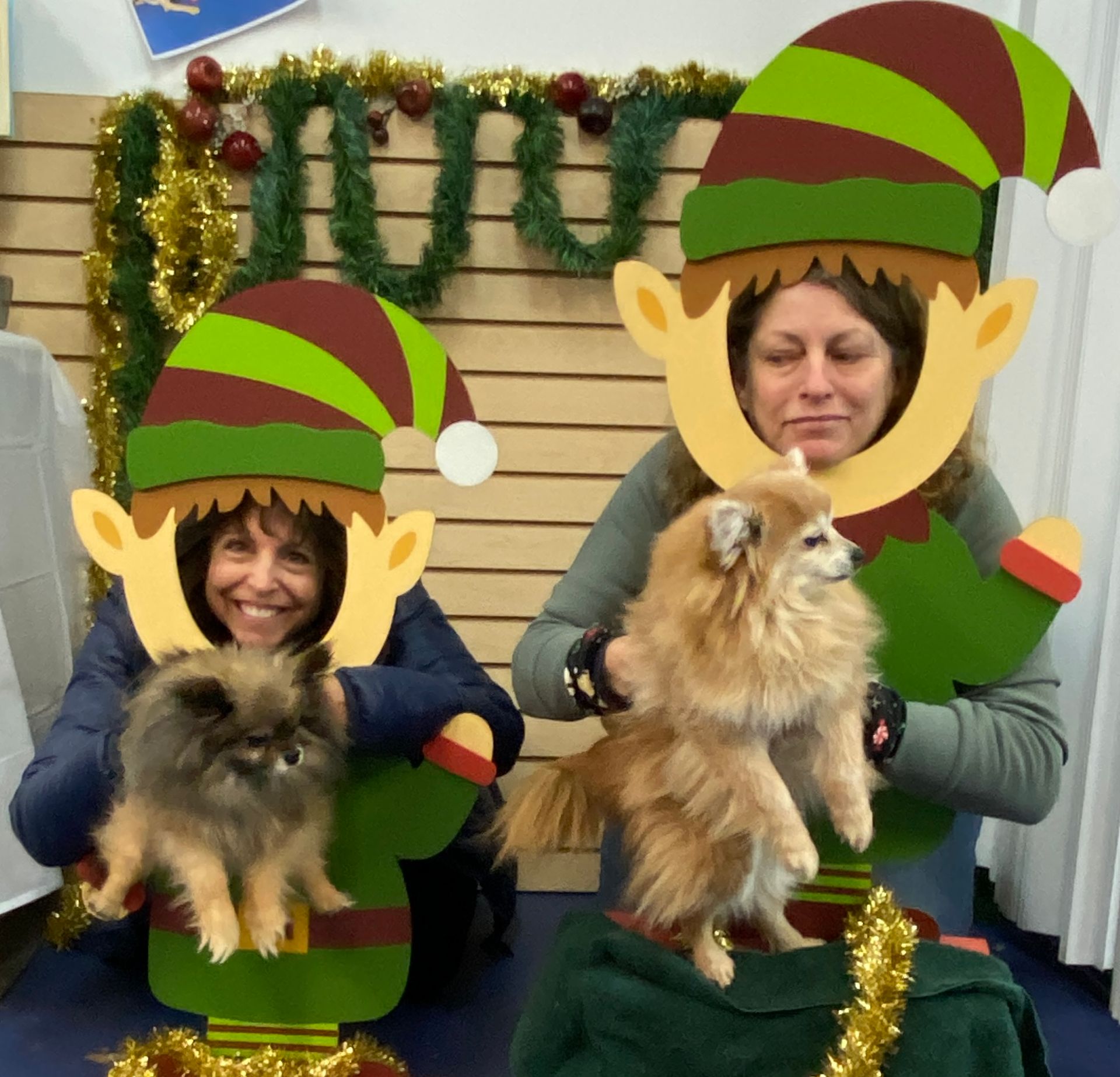 Two women wearing elf hats are holding small dogs