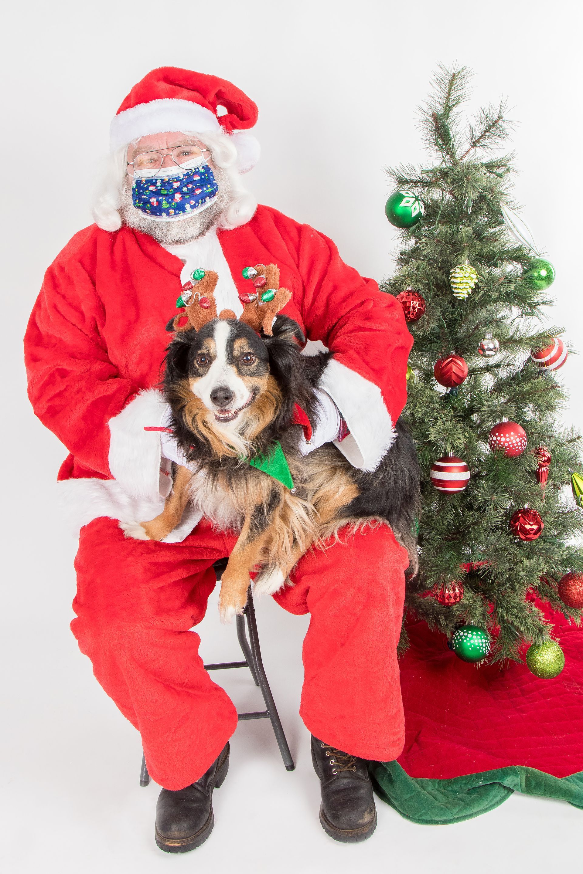 A man dressed as santa claus is holding a dog in front of a christmas tree.