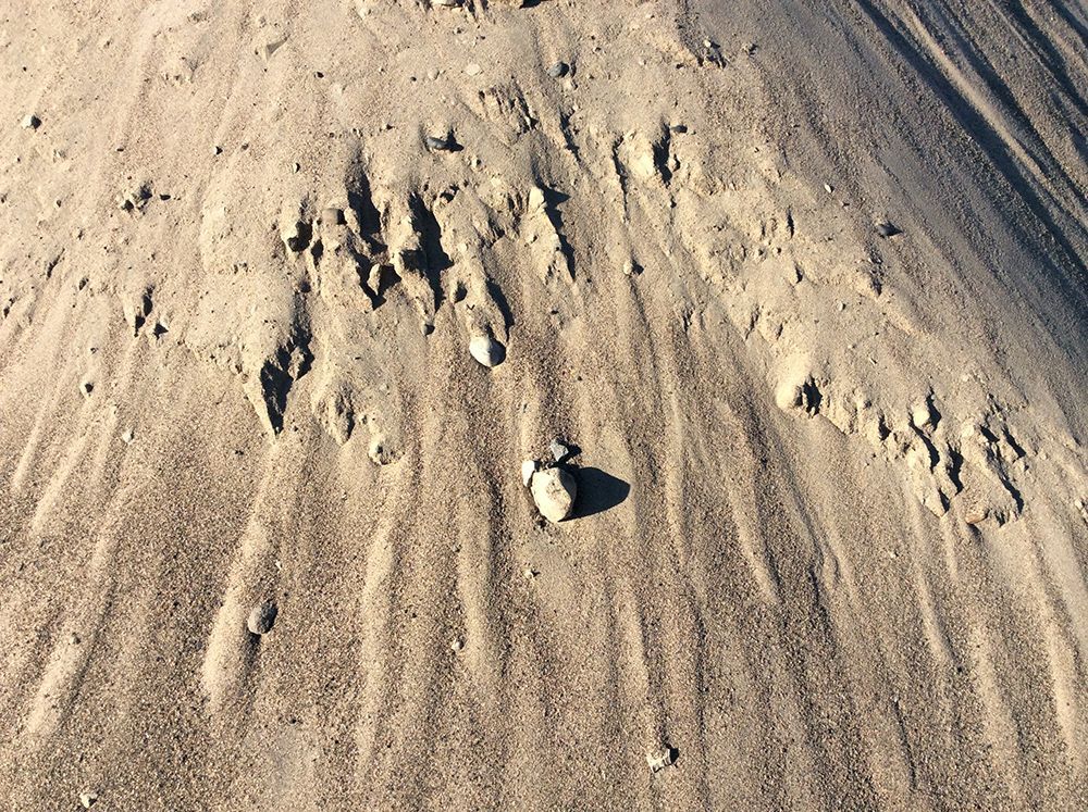 A pile of sand with a rock in the middle of it.